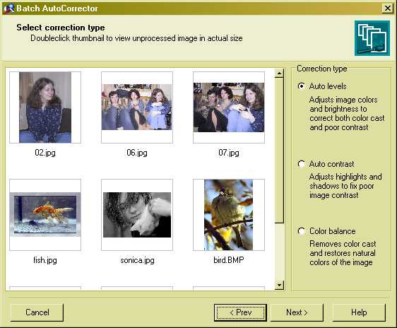 Screenshot of Batch AutoCorrector 0.8